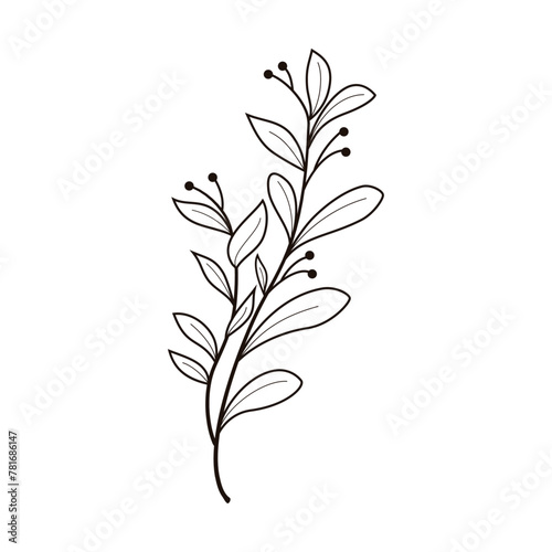 Hand drawn tree leaf twig floral element illustration