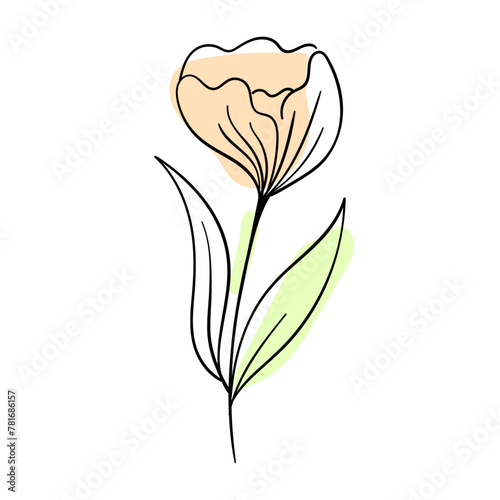 vector flat simple flower outline illustration
