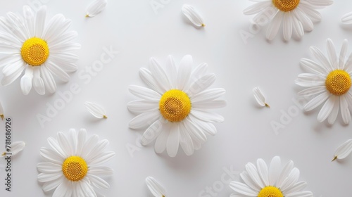 chamomile daisy flowers on white background. generative ai © Francheska