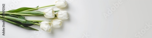 Bunch of white tulips carefully arranged on a plain white surface. Copy space. Banner. Card. #781692562