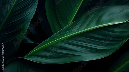 Digital abstracted jungle flora graphic poster web page PPT background © yonshan