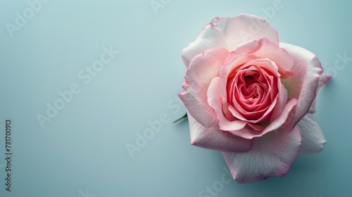 top view of a beautiful rose generative ai