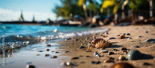 Autumn leaves on a sandy beach in the tropics. Selective focus.