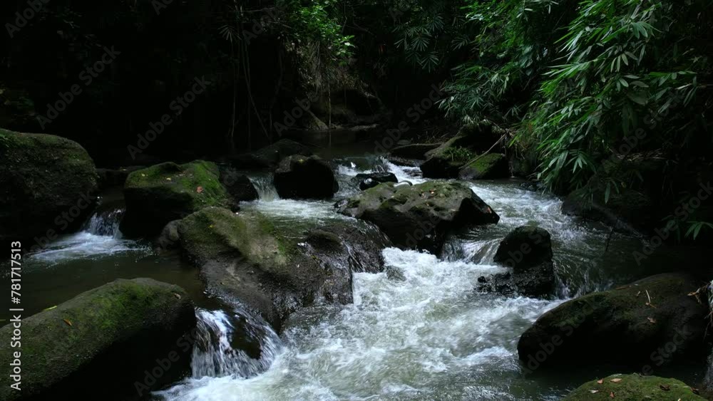 A small river in the vicinity of the city of Ubud on the island of Bali in Indonesia, video filmed from the air. A small river in the vicinity of the city of Ubud on the island of Bali in Indonesia, video filmed from the air.