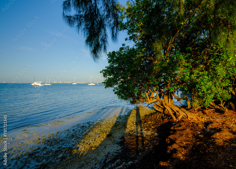 Fototapeta premium Miami summer view in the city