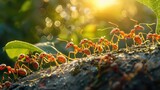 Navigating their rugged terrain, swarming fire ants are bathed in the golden glow of the morning sun.