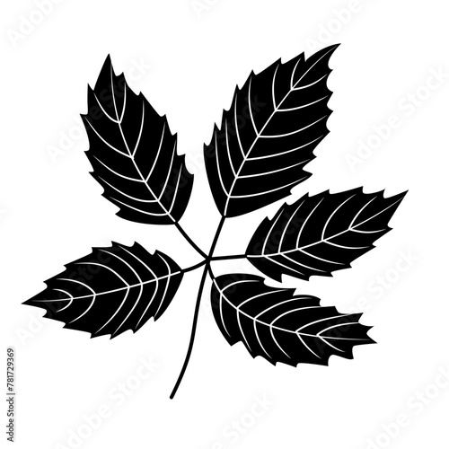 Tree leaf silhouette isolated cutout black and white monochrome vector clipart illustration. Autumn leaves design element. Nature pictogram, logo or icon. Tree foliage simple cartoon doodle.