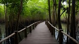 Wooden Bridge Paths Through Lush Forest Landscapes.