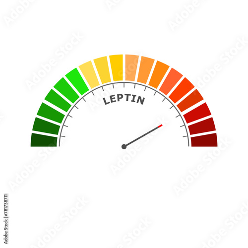Leptin bad level on measure scale. Instrument scale with arrow. Colorful infographic gauge element. The human obesity protein that regulates an appetite by inhibiting hunger.