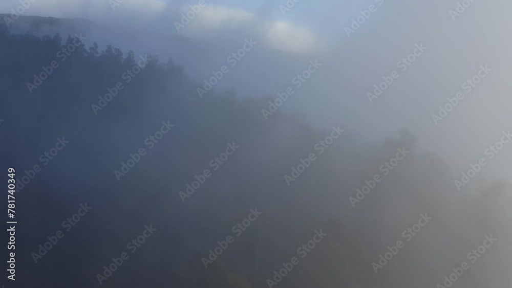 Drone dolly view of fog over the trees on the Haleakala volcano on Maui, Hawaii.