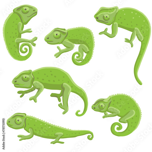 vector drawing set of green chameleons isolated at white background, hand drawn illustration © cat_arch_angel