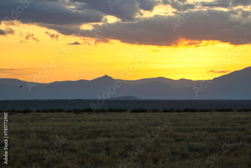 Golden yellow evening skies post sunset light up the vast savanna landscape of the beautiful samburu country at the Buffalo Springs Reserve in Kenya 