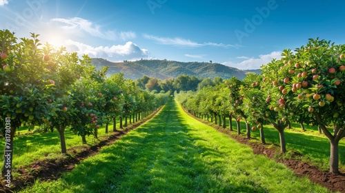 Vibrant rows of fruit trees in an orchard, stretching into the distance under a clear blue sky
