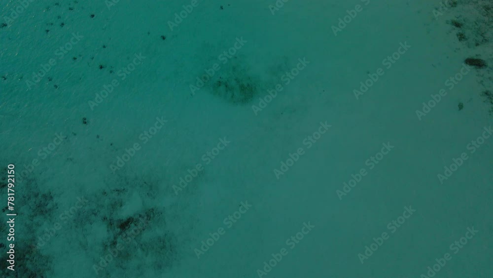 Drone shot of the turquoise water beach and the coastline with white sand Drone shot of the turquoise water beach and the coastline with white sand