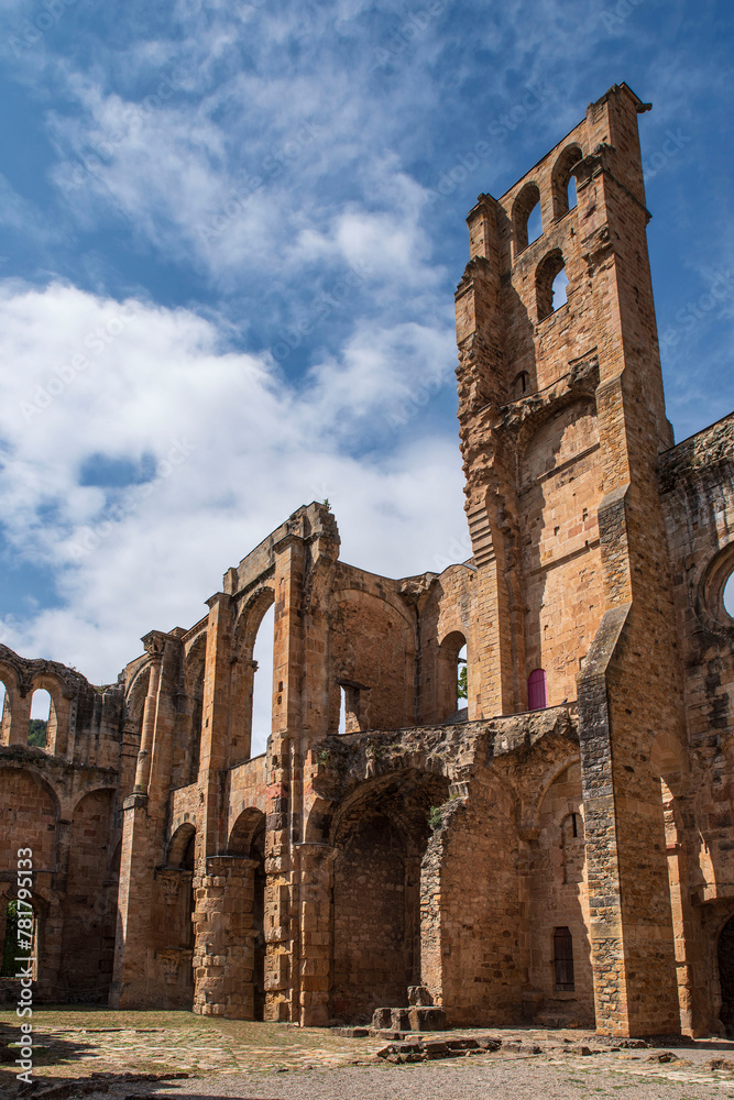 Fototapeta premium Ruin of the abbey of Alet les Bains in the south of France in Cathar country