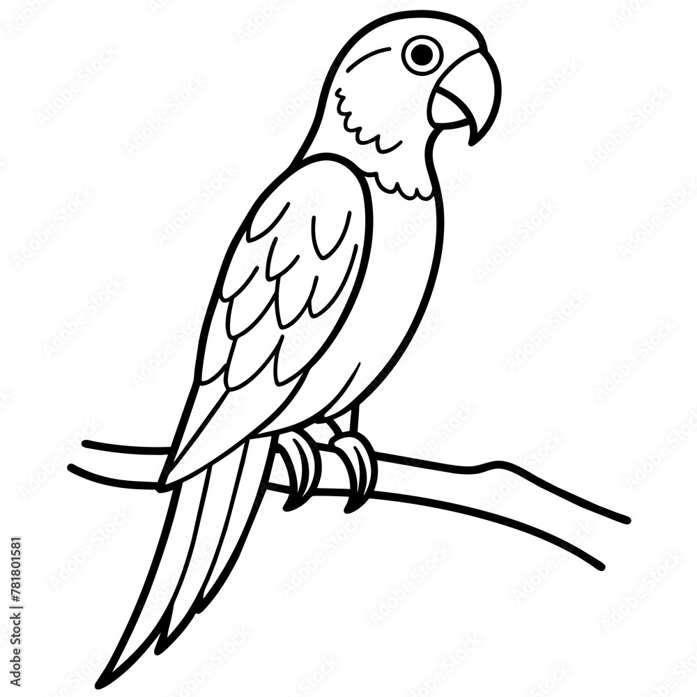 Fototapeta premium parrot on a branch