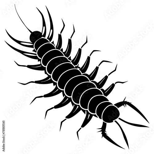scorpion isolated