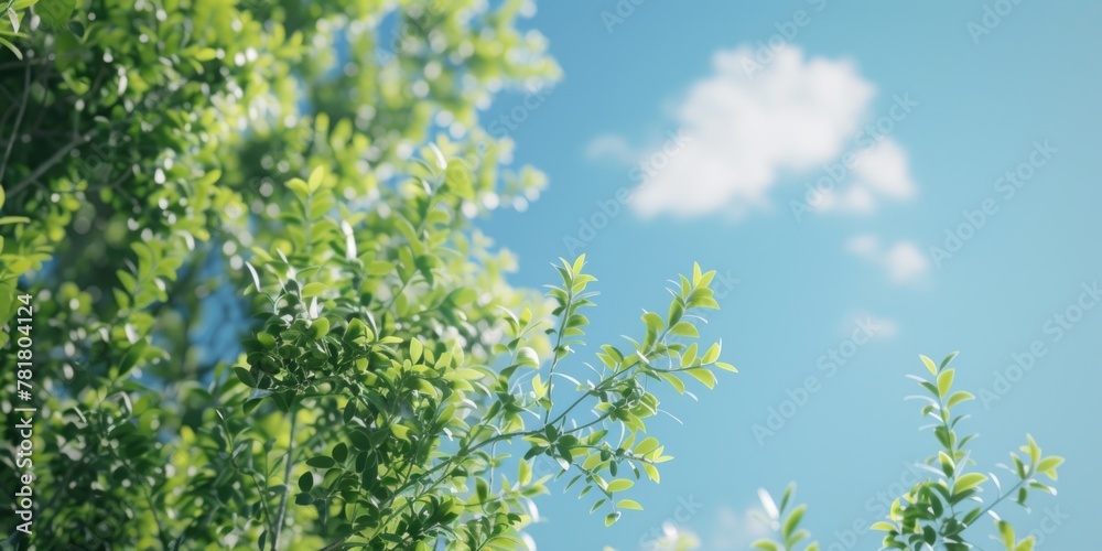 A tree with green leaves and a blue sky in the background. The sky is clear and bright, and the leaves are lush and vibrant. Concept of freshness and vitality A tree with green leaves and a blue sky in the background. The sky is clear and bright, and the leaves are lush and vibrant. Concept of freshness and vitality