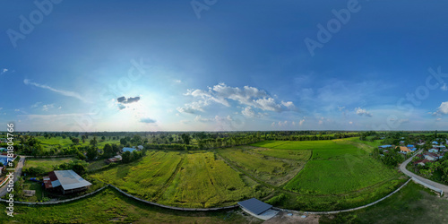 Panoramic bird's-eye view of rice fields and beautiful sky.