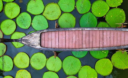 A top view of a boat among the leaves of giant water lillies on the lake