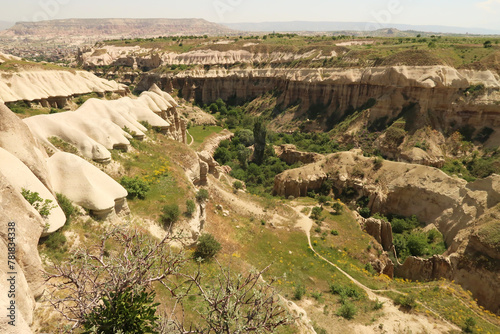 View from above into a gorge of the Pigeon Valley, Güvercinlik Vadisi connecting Göreme and Uchisar, Cappadocia, Turkey
