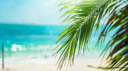 Palm fronds frame a blurry  sunlit tropical beach  creating a serene summer backdrop.
