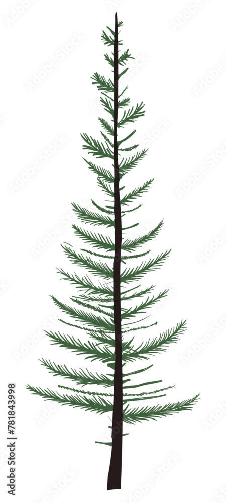 a simple image of a non-lush Christmas tree
