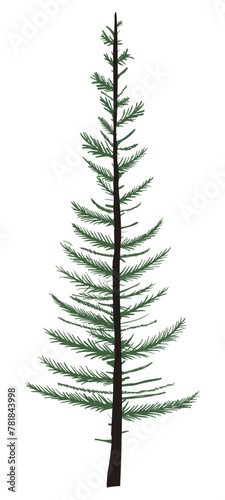 a simple image of a non-lush Christmas tree