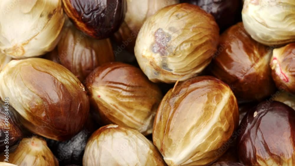 close-up of fresh nutmeg seeds, texture and detail, rotating, harvest close-up of fresh nutmeg seeds, texture and detail, rotating, harvest