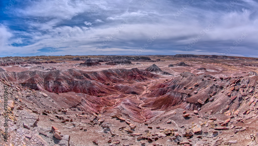 Purple badlands in Petrified Forest AZ