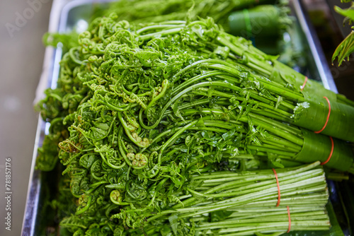 Close-up of Paco Fern tied up for sale at market stall