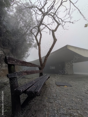 bench in the morning