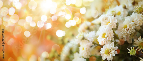 Banner with sunlit white daisies with bokeh background. Generative AI