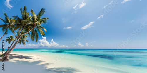 beach with palm trees, bright blue water in the Maldives and palm trees, a white sandy beach with turquoise sea