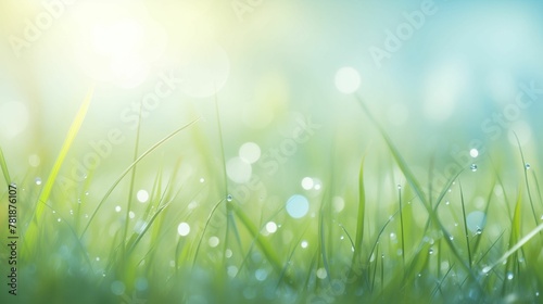Morning Dew on Lush Green Grass with Sunlight Flare, Refreshing Nature