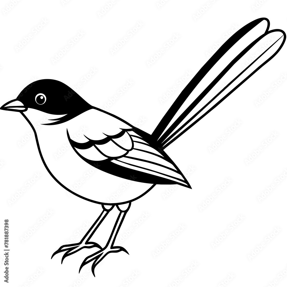 Fototapeta premium Bird vector illustration. 