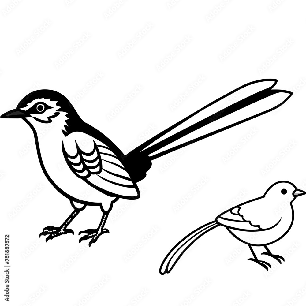Fototapeta premium Bird vector illustration 
