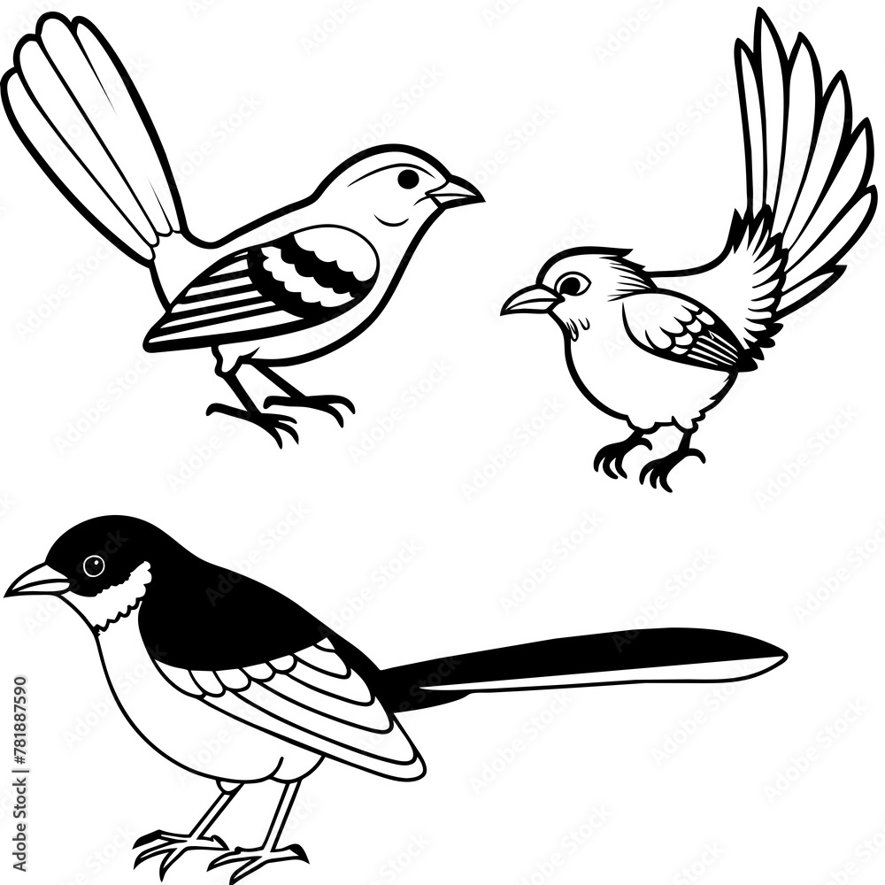 Obraz premium Bird vector illustration 