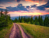 Spectacular morning view of mountain forest with dirt road to the top. Wonderful summer sunrise in Carpathian mountains, Ukraine, Europe. Beauty of countryside concept background..