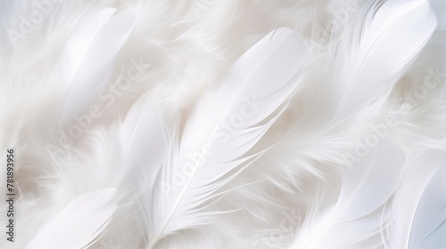 Soft White Feathers Background Symbolizing Peace and Purity
