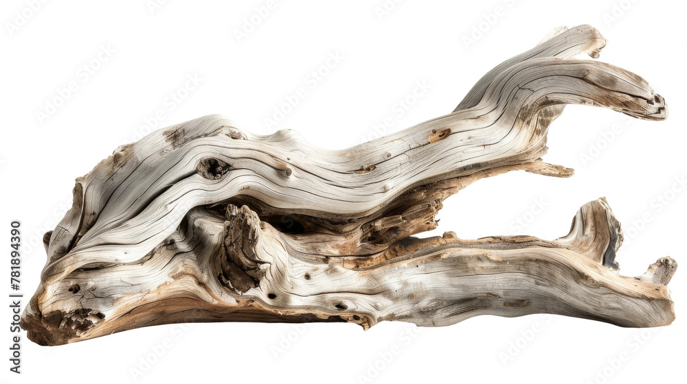 Close Up of Weathered Driftwood Close Up of Weathered Driftwood