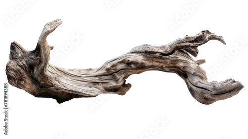 Weathered Driftwood on White Background