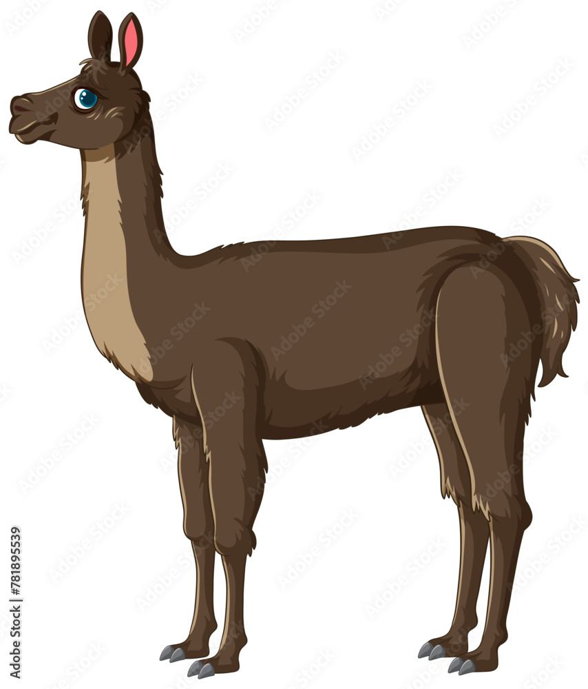 Fototapeta premium Vector graphic of a standing brown llama