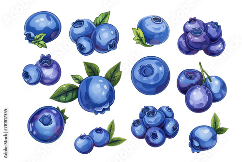 set of blueberries, collection, clipsart illustration isolated on white or transparent png