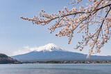 Mount Fuji with pink cherry blossom in spring, Lake Kawaguchi, Kawaguchiko, Yamanashi Prefecture, Japan