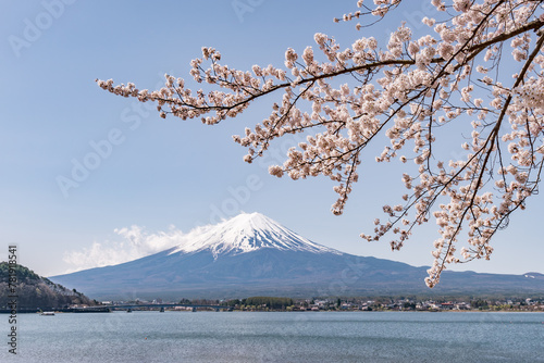 Mount Fuji with pink cherry blossom in spring, Lake Kawaguchi, Kawaguchiko, Yamanashi Prefecture, Japan