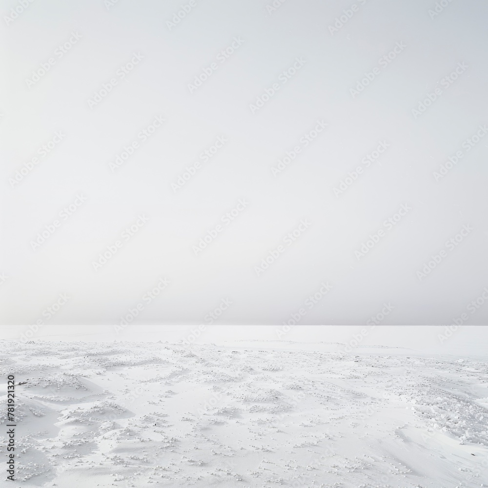 Minimalist White Winter Landscape with Subtle Textures Minimalist White Winter Landscape with Subtle Textures