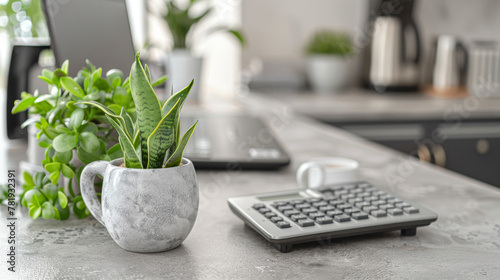 A laptop and a calculator sit on a counter next to a potted plant. The potted plant is a small green plant with a long stem photo