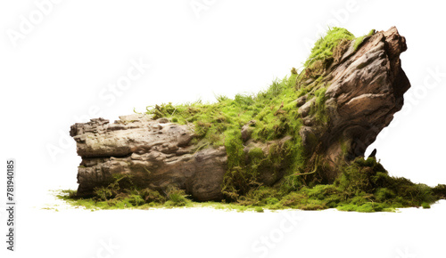 Moss or ferns cover dry trees isolated on transparent and white background.PNG image.	
 photo
