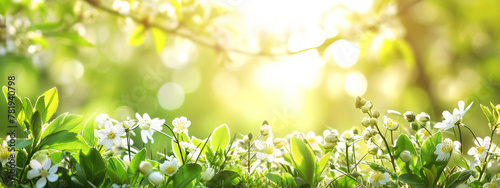 Bright, Sunlit Spring Foliage Banner with Blurred Green Leaves and White Blossoms
